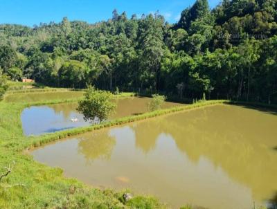 Stio / Chcara para Venda, em Campina Grande do Sul, bairro 