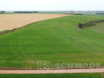 rea Rural para Venda, em Humait, bairro interior