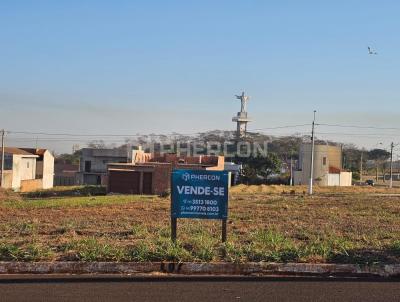 Terreno para Venda, em Sertozinho, bairro Mirante das Paineiras