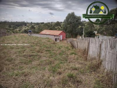 Chcara para Venda, em Ibina, bairro Centro