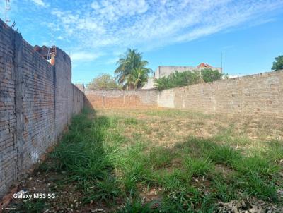 Terreno para Venda, em Araatuba, bairro Vista Verde