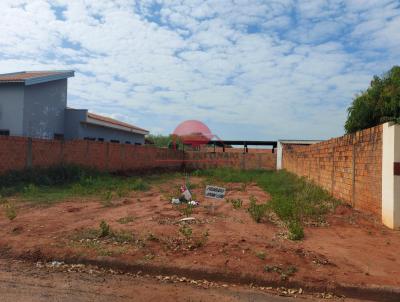 Terreno para Venda, em Teodoro Sampaio, bairro Centro