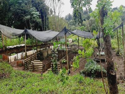 Chcara para Venda, em Tibagi, bairro Area Rural, 2 dormitrios, 3 banheiros, 1 vaga