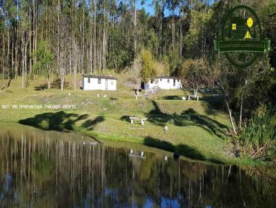 Stio para Venda, em Ibina, bairro Centro, 3 dormitrios, 2 banheiros