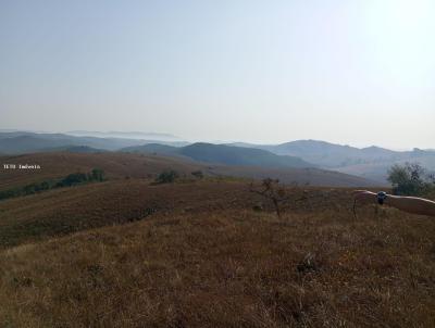 Fazenda para Venda, em So Joo del Rei, bairro Morro Grande