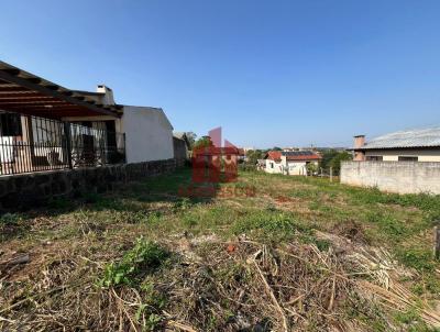 Terreno para Venda, em Santa Rosa, bairro Novo Horizonte