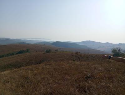 Fazenda para Venda, em So Joo del Rei, bairro Morro Grande, 2 dormitrios, 1 banheiro