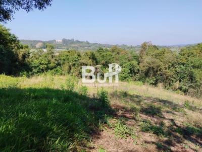 Terreno para Venda, em Ibina, bairro CANGUERA