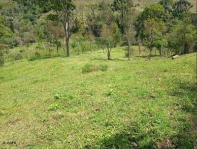 Terreno para Venda, em Cunha, bairro ALTO DA BOA VISTA