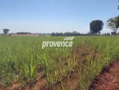 Fazenda para Venda, em Tanabi, bairro Centro