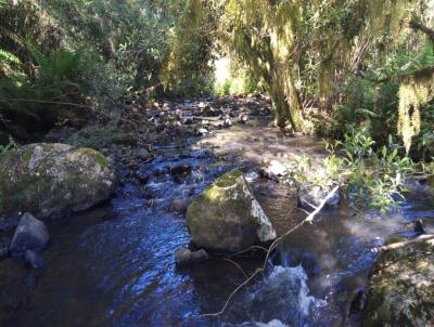 Stio / Chcara para Venda, em Santa Maria do Herval, bairro Padre Eterno Baixo