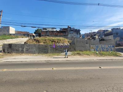 Terreno para Venda, em So Paulo, bairro Jardim Prola II