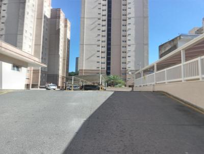 imagem-miniatura