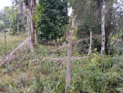 Terreno para Venda, em Itanham, bairro Rio Preto