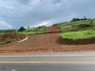 Terreno para Venda, em Guaratinguet, bairro ESTRADA TANCREDO NEVES