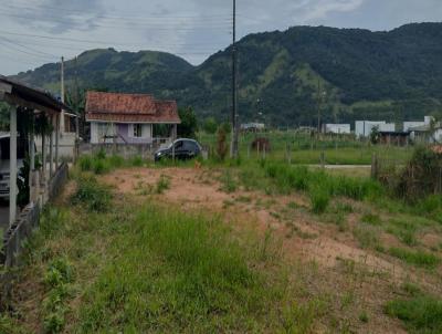 Terreno para Venda, em Paulo Lopes, bairro Areias