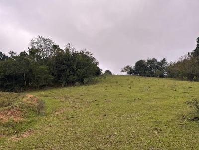 rea Rural para Venda, em Serto Santana, bairro rea rural