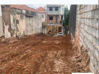 Terreno para Venda, em So Paulo, bairro Cidade Me do Cu