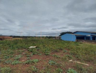 Terreno para Venda, em Iju, bairro Pindorama