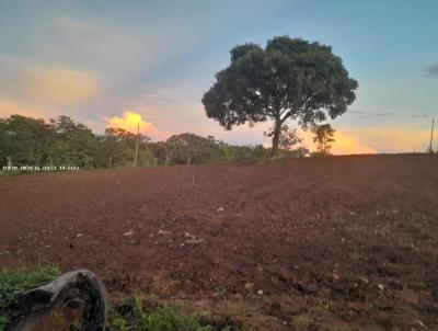 Chcara para Venda, em Camapu, bairro Rural, 2 dormitrios, 1 banheiro, 10 vagas