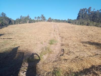 Terreno para Venda, em , bairro BRACATINGA