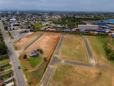 Terreno para Venda, em Iara, bairro Primeiro de Maio