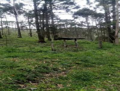 Stio para Venda, em Cunha, bairro Campos de Cunha, 1 dormitrio, 1 banheiro, 1 vaga