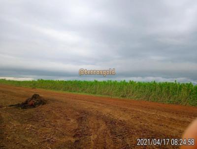 Fazenda para Venda, em Pocon, bairro Zona rural