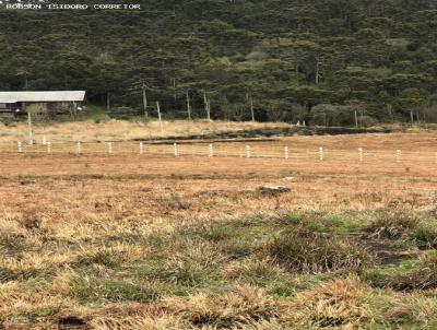 Terreno para Venda, em Bom Jardim da Serra, bairro Tijucas