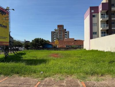 Terreno para Venda, em Toledo, bairro Centro