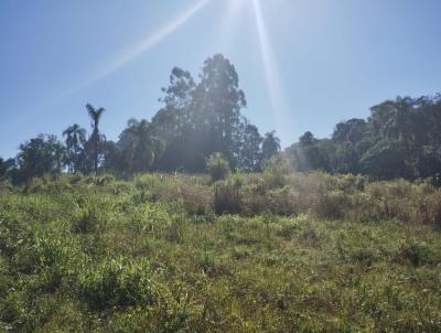 rea Rural para Venda, em Pareci Novo, bairro interior