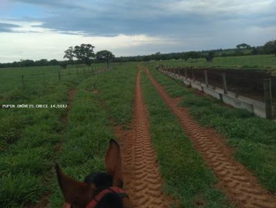 Fazenda para Venda, em Rochedo, bairro Rural