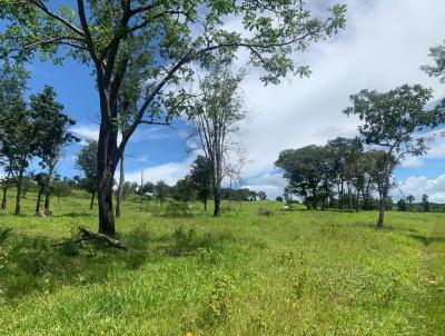 Fazenda para Venda, em Araguari, bairro Centro, 2 dormitrios, 2 banheiros, 3 vagas