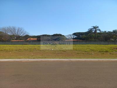 Terreno para Venda, em Cordeirpolis, bairro Jardim Lise