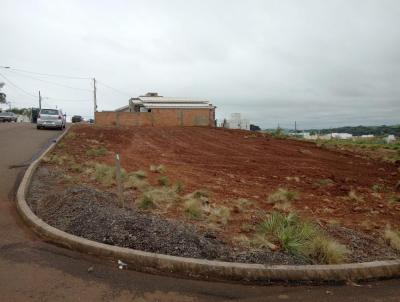 Terreno para Venda, em Campos Novos, bairro Bairro Boa Vista