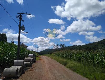 Terreno para Venda, em Santa Maria do Herval, bairro Centro