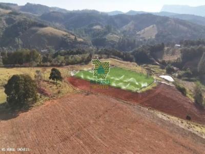 Fazenda para Venda, em Ouro Branco, bairro 12km de Ouro Branco, MG