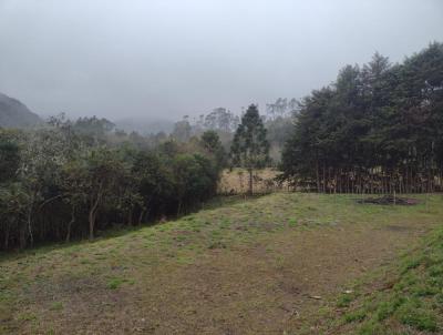 Terreno para Venda, em Cunha, bairro PARAIBUNA