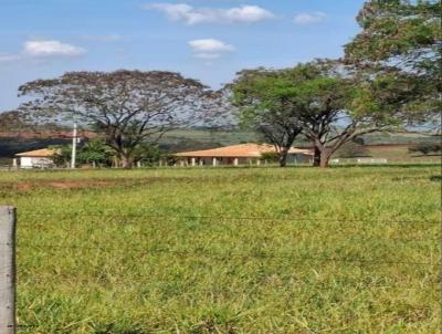 Stio para Venda, em Mirante do Paranapanema, bairro Estrada