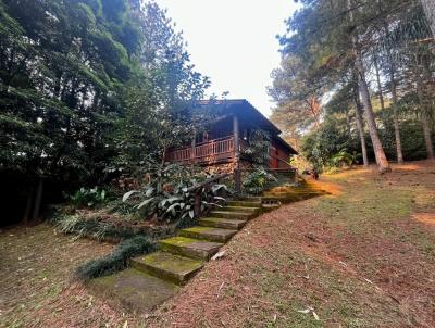 Stio para Venda, em Osrio, bairro Tombador, 3 dormitrios, 1 banheiro