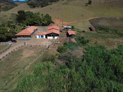 Fazenda para Venda, em Caratinga, bairro So Joo do Jacutinga