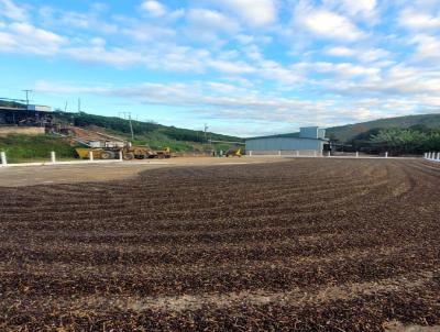 Fazenda para Venda, em Caratinga, bairro Estrada