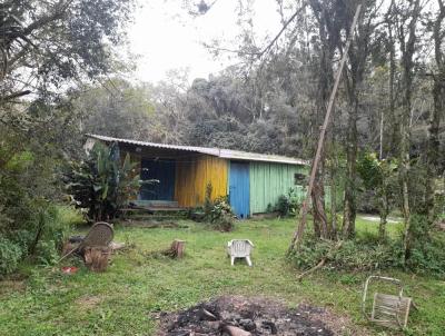 Stio para Venda, em Viamo, bairro Passo do Vigrio, 2 banheiros