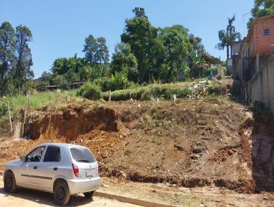 Terreno para Venda, em Mau, bairro Jardim So Joo