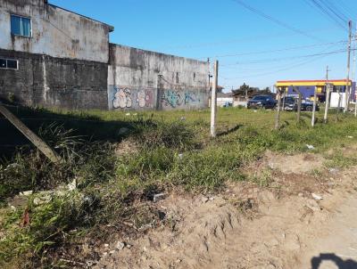 Terreno para Venda, em Pontal do Paran, bairro Shangril