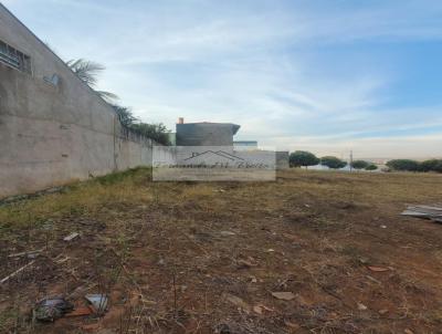 Terreno para Venda, em Rifaina, bairro Nova Rifaina