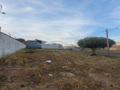 Terreno para Venda, em Rifaina, bairro Nova Rifaina