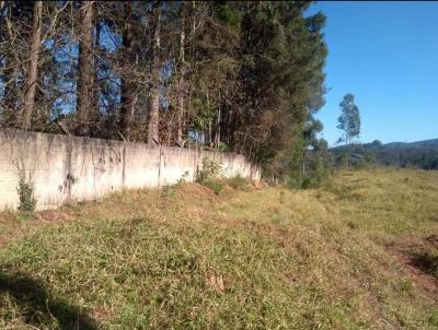 rea para Venda, em So Roque, bairro caete