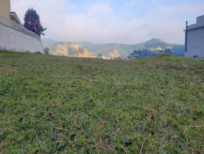 Terreno para Venda, em , bairro (Fazendinha)