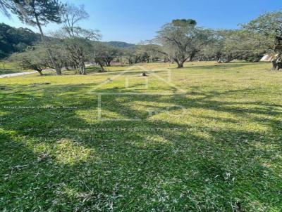 Terreno para Venda, em Campo Alegre, bairro Bateias de cima